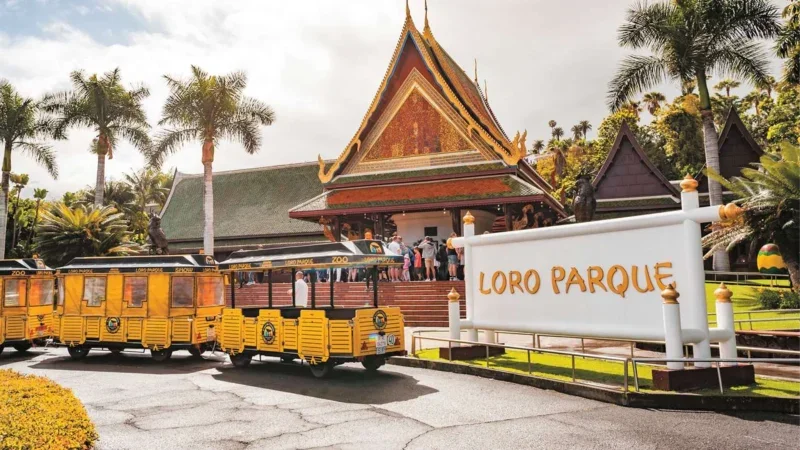 Loro Parque Tenerife: Discover the Heart of the Island’s Natural Wonder